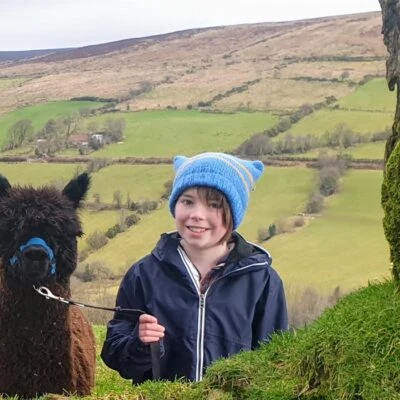 Sperrin Alpacas - Sperrin alpacas