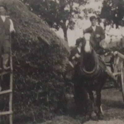 Tyrone Roots - Image 1