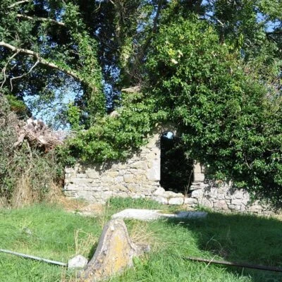 Tyrone Roots - Image 4