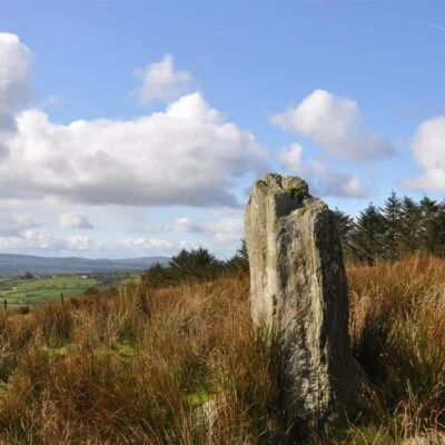 Tyrone Roots - Image 2