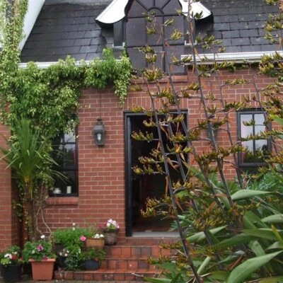 Pinewood Lodge - Image 8