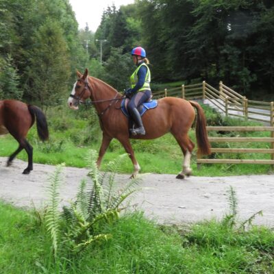 Gortin Glen Horse Trails - Horse Trails at Gortin Glen Forest Park